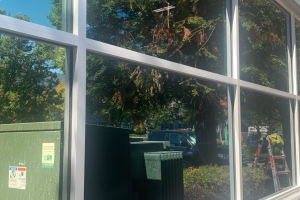 Commercial glass after cleaning - Transparent Window Washing Outside view through large glass windows: green dumpsters, a red ladder, a parked car, and tall trees on a sunny day.