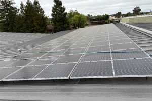 Rooftop solar panels installed in long rows with an overcast sky and trees in the background.