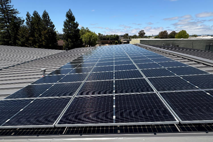 Solar panels installed on a sloped rooftop under a blue sky with trees nearby.