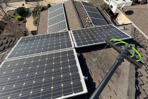 IMG_1676 1 - Transparent Window Washing