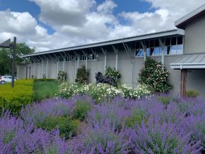 IMG_5049 - Transparent Window Washing