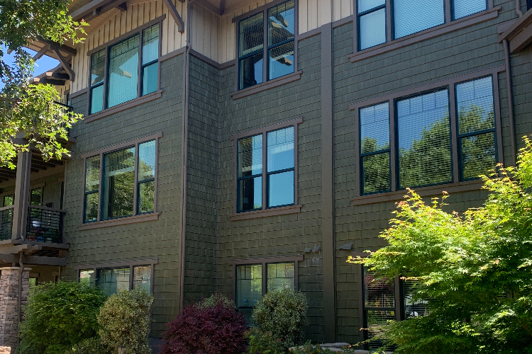 Exterior view of a green multi-story apartment building with large windows and landscaped shrubs nearby on a sunny day.
