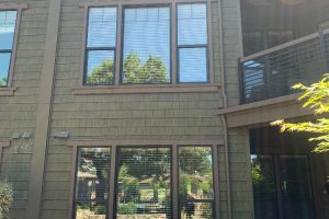 Southeast-facing townhouse exterior with large windows and green siding, reflection of trees in the glass.