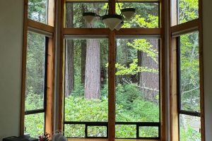 Wood-framed bay window looking out onto a lush forest with tall trees and green undergrowth; a ceiling light fixture hangs above.