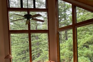 Room with tall wooden-framed windows overlooking a dense green forest; a ceiling fan hangs from the ceiling.