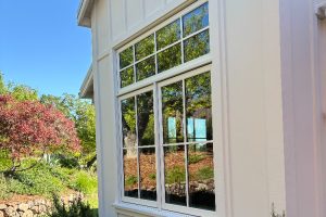 IMG_1986 - Transparent Window Washing White-framed multi-pane window on a house, reflecting trees, blue sky, and a pink flowering shrub in the yard.