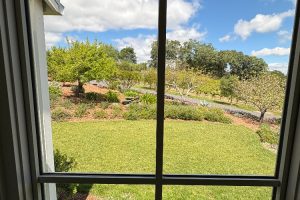 IMG_1991 - Transparent Window Washing View through a window of a sunny garden with a green lawn, trees, shrubs, and a wooden bench along a gravel path.