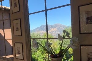 IMG_4077 - Transparent Window Washing Indoor scene with a large multi-pane window revealing blue sky and distant mountains; a vase of white flowers sits on the windowsill, framed pictures line the walls.