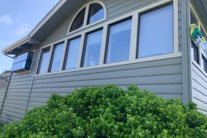 IMG_8297 - Transparent Window Washing Side view of a gray house with a row of tall, multi-pane windows and a curved top window, with a green hedge in the foreground.