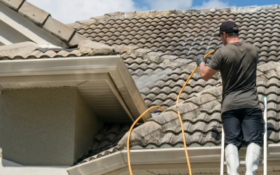 Why You Should Choose Professional Pressure Washing Services Over Trying to Do It Yourself…