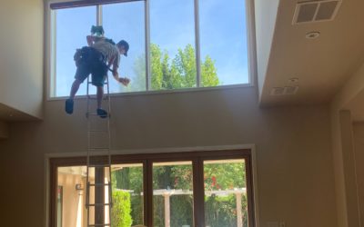 How Often Should You Wash Your Windows? Expert Recommendations by Season…