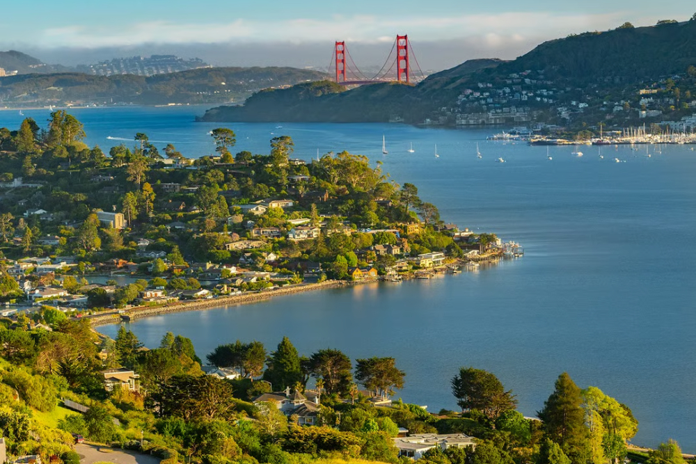 Aerial view of a coastal suburb on a peninsula with the Golden Gate Bridge across the bay in the distance, blue water below.